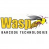 Wasp